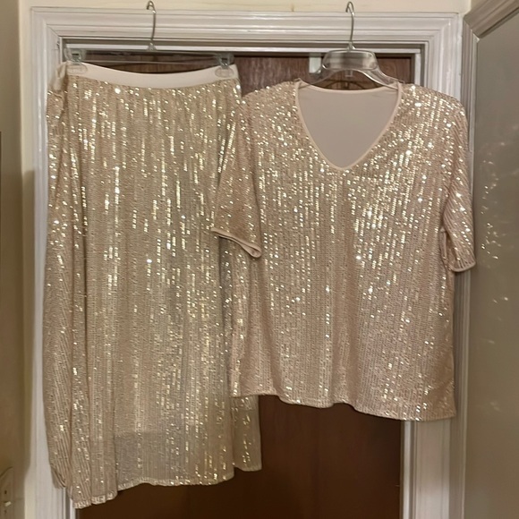 Dresses & Skirts - NWOT sequin skirt and matching top.